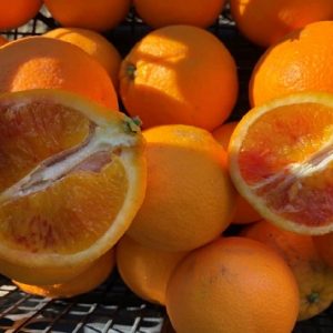 Arancia Tarocco (singola cassetta da 9 kg)