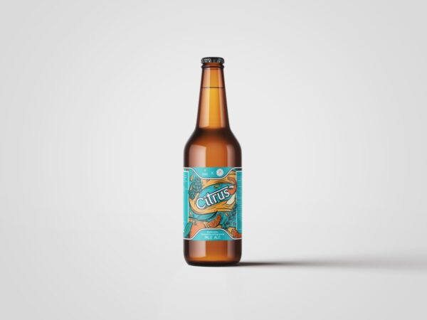 Birra artigianale alla clementina Citrus 33cl